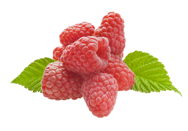 rasberry picture